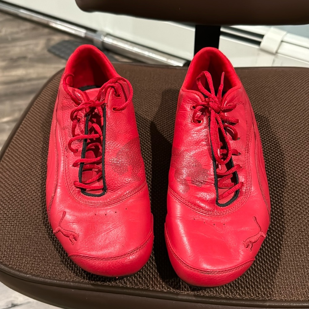 Ferraris speed cats 9